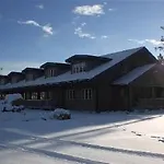 Fjallhotellet Lofsdalen 2* 萨莱诺