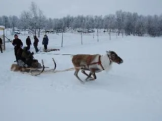 Отель Fjallhotellet Lofsdalen 2*
